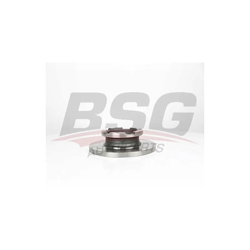 Jeu de 2 disques de frein arrière BSG BSG 30-210-044