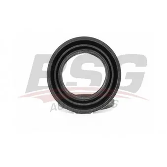 Boulon de guidage, étrier de frein BSG BSG 30-251-014