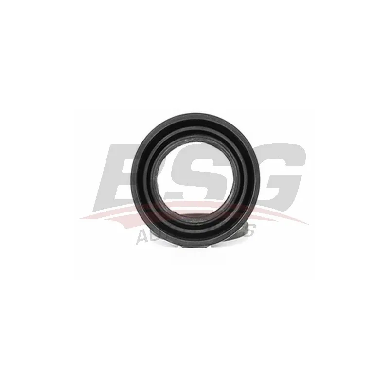 Boulon de guidage, étrier de frein BSG BSG 30-251-014