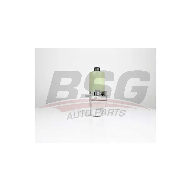 Pompe hydraulique, direction BSG BSG 30-355-011