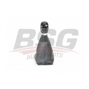 Pommeau BSG BSG 30-467-007
