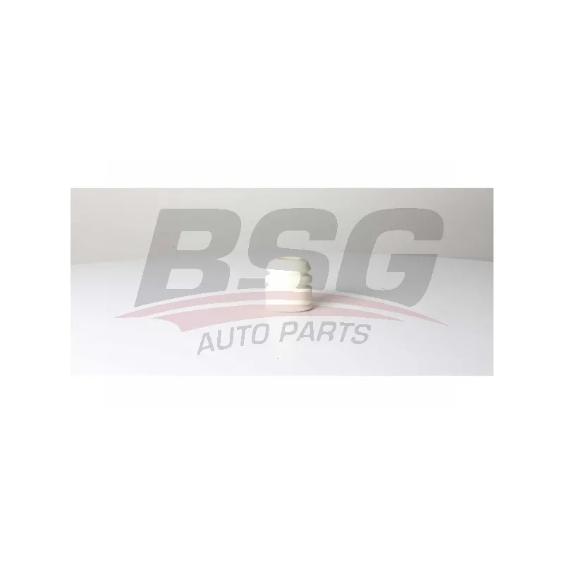 Jeu de 2 amortisseurs avant BSG BSG 30-700-472