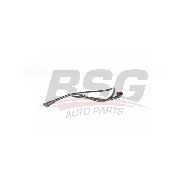 Tuyau de carburant BSG BSG 30-725-091