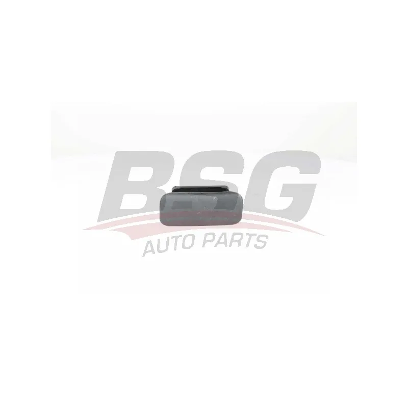 Poignée de porte BSG BSG 30-970-062
