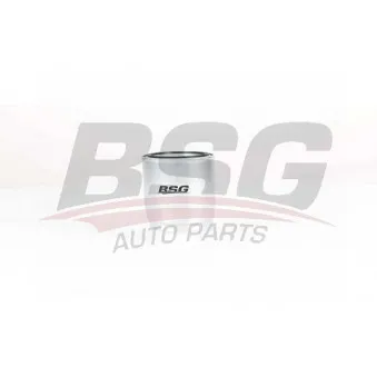 Filtre à carburant BSG BSG 40-130-011