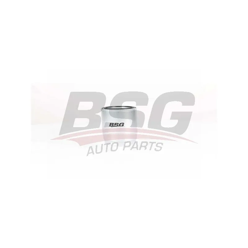 Filtre à carburant BSG BSG 40-130-011