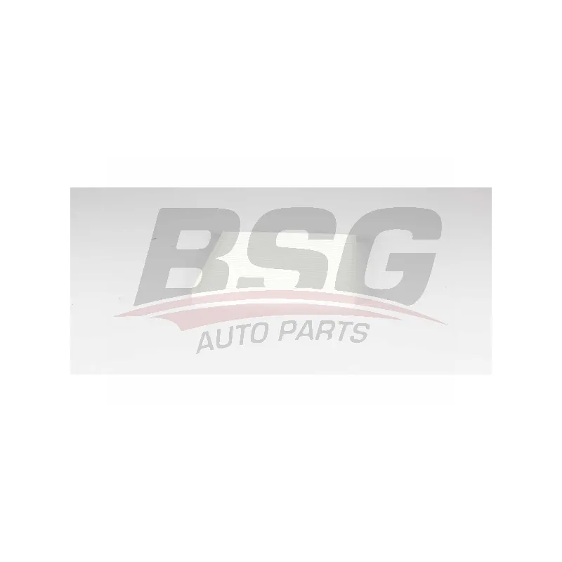 Filtre, air de l'habitacle BSG BSG 40-145-018