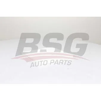 Filtre, air de l'habitacle BSG BSG 40-145-019