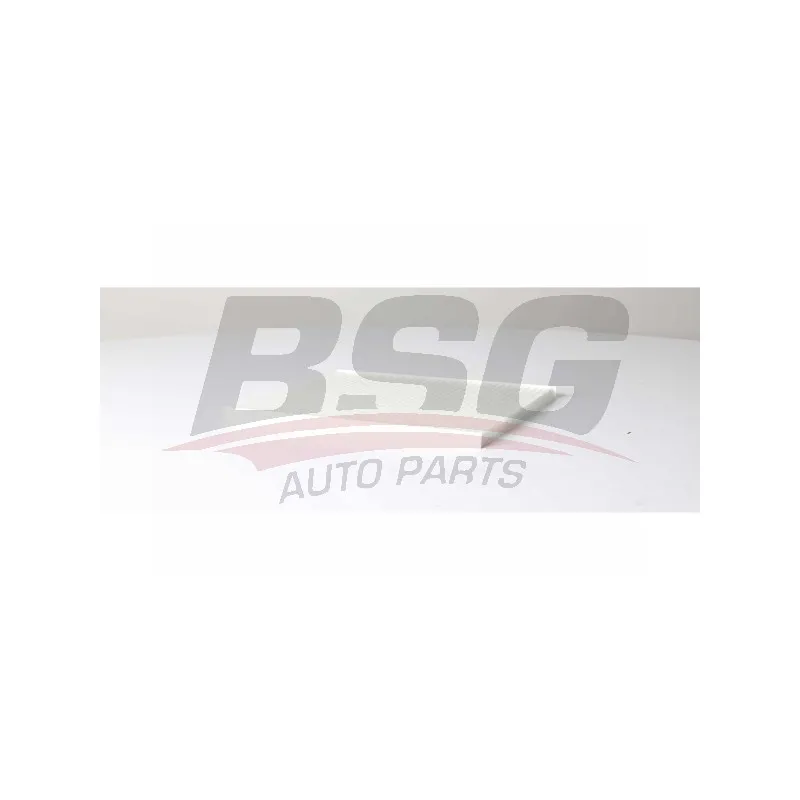 Filtre, air de l'habitacle BSG BSG 40-145-020