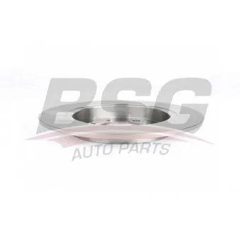 Jeu de 2 disques de frein arrière BSG BSG 40-210-013