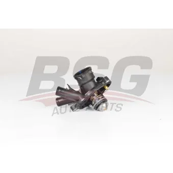 Thermostat d'eau BSG BSG 60-125-015