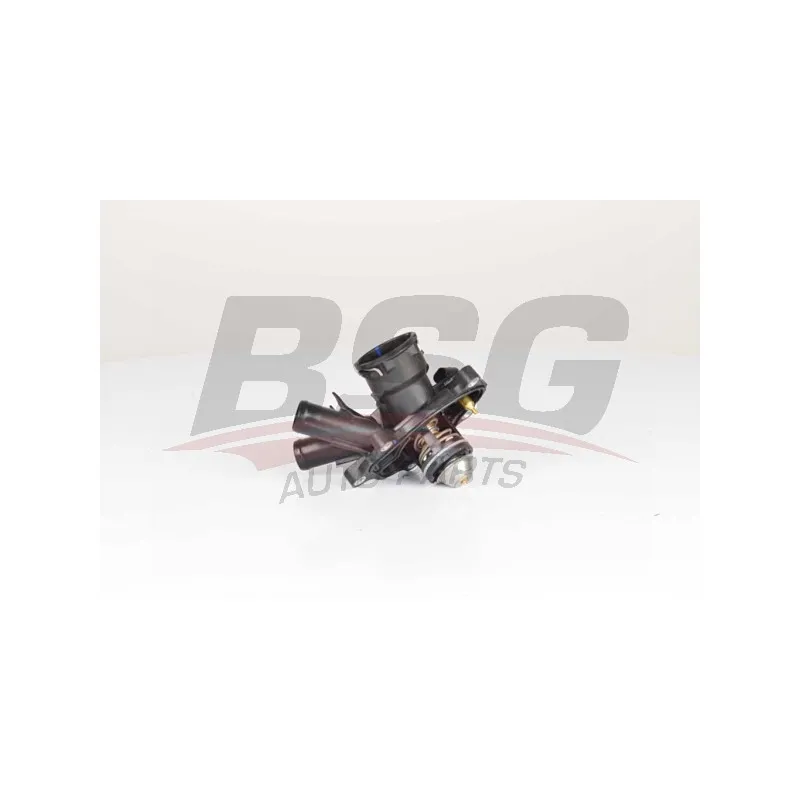 Thermostat d'eau BSG BSG 60-125-015