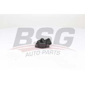 Boîtier du thermostat BSG BSG 60-125-017