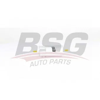 Filtre à carburant BSG BSG 60-130-008