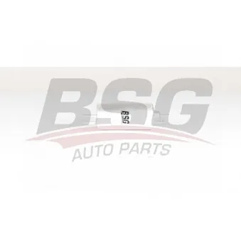 Filtre à carburant BSG BSG 60-130-009