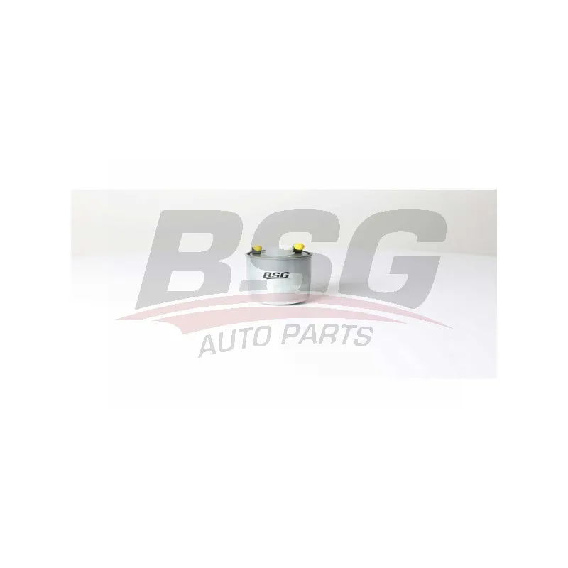 Filtre à carburant BSG BSG 60-130-011