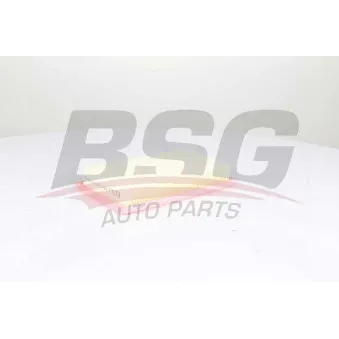 Filtre à air BSG BSG 60-135-031