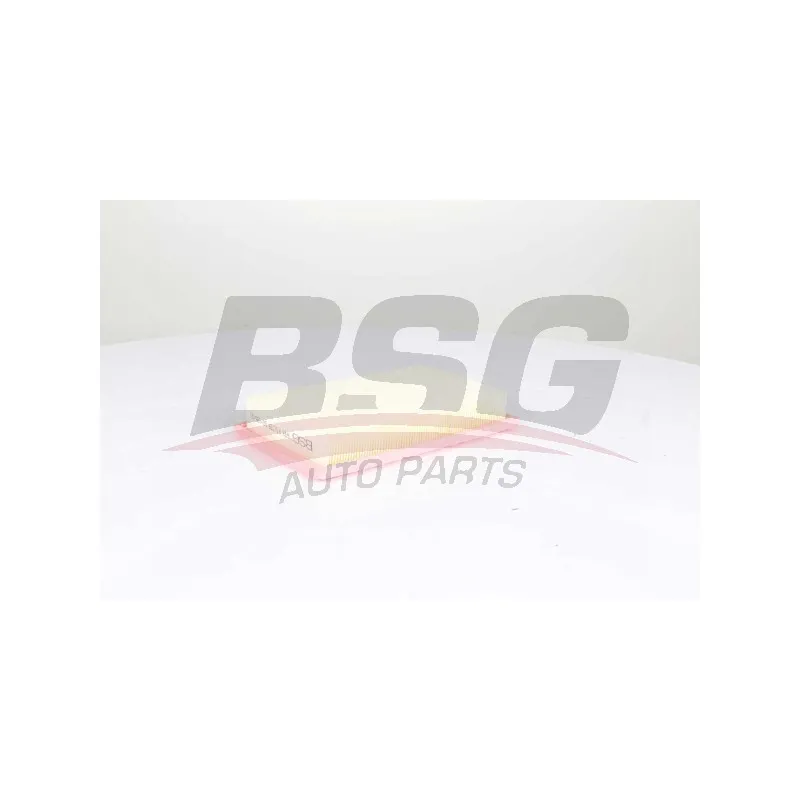Filtre à air BSG BSG 60-135-031