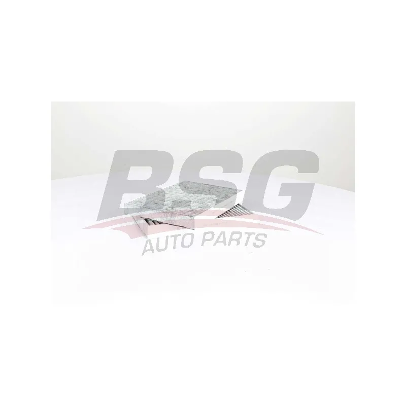 Filtre, air de l'habitacle BSG BSG 60-145-011