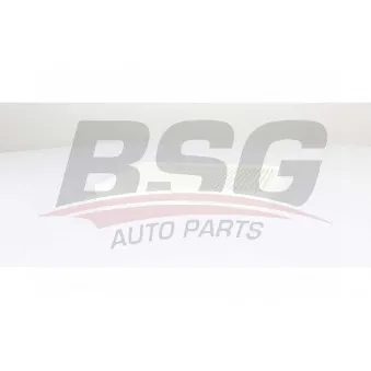 Filtre, air de l'habitacle BSG BSG 60-145-024