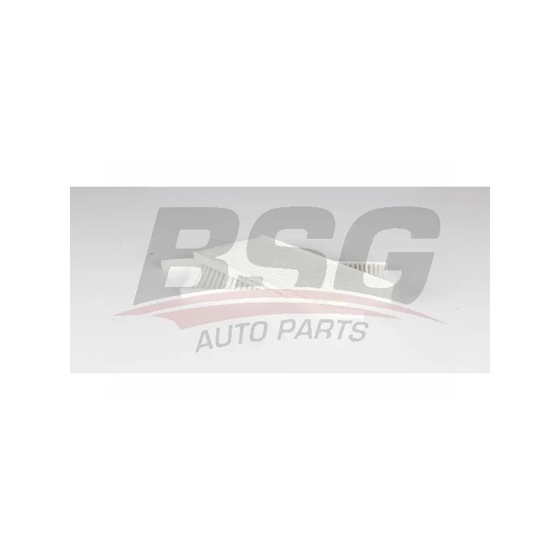 Filtre, air de l'habitacle BSG BSG 60-145-027