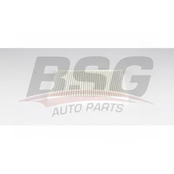 Filtre, air de l'habitacle BSG BSG 60-145-028