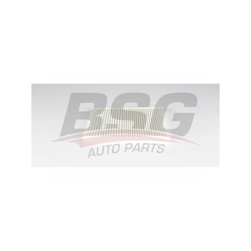 Filtre, air de l'habitacle BSG BSG 60-145-028