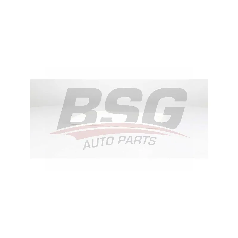 Filtre, air de l'habitacle BSG BSG 60-145-032