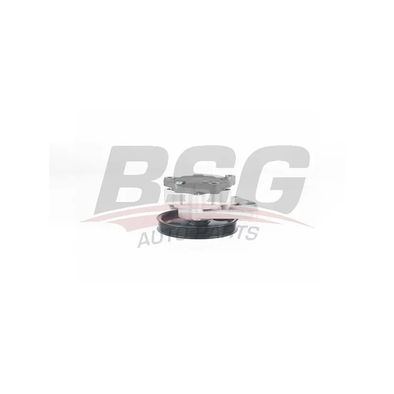 Pompe hydraulique, direction BSG BSG 60-355-030