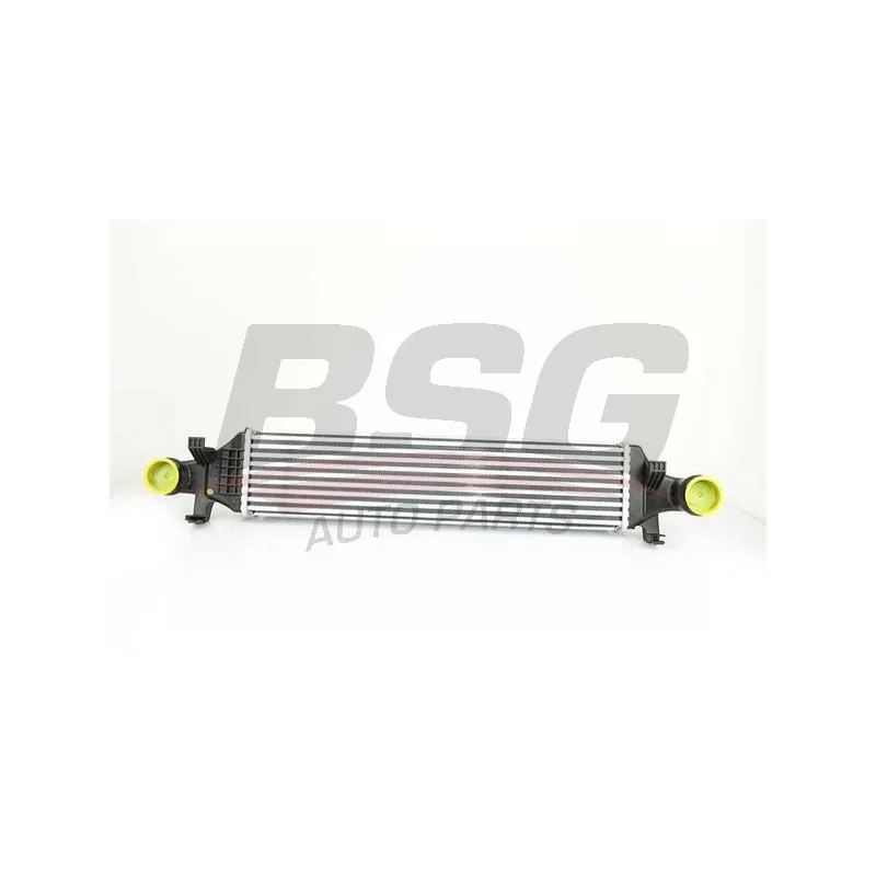 Intercooler, échangeur BSG BSG 60-535-002