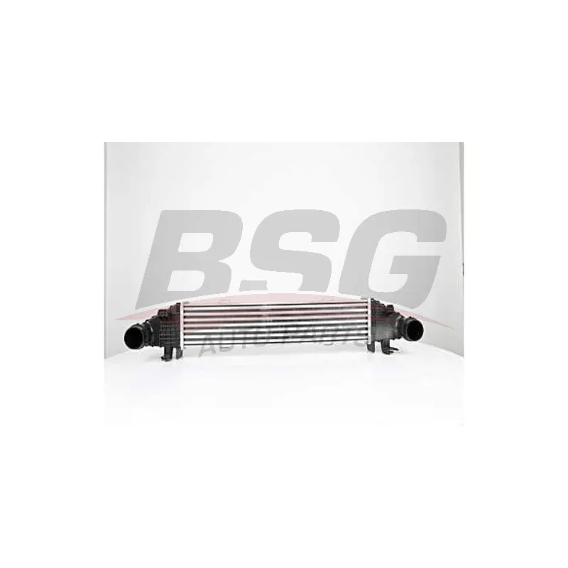 Intercooler, échangeur BSG BSG 60-535-004
