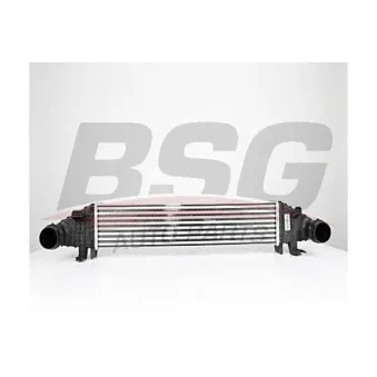 Intercooler, échangeur BSG BSG 60-535-009