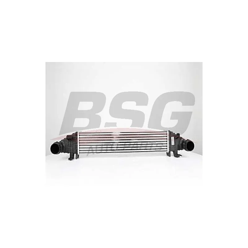 Intercooler, échangeur BSG BSG 60-535-009