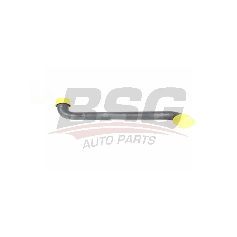 Durite de radiateur BSG BSG 60-720-225