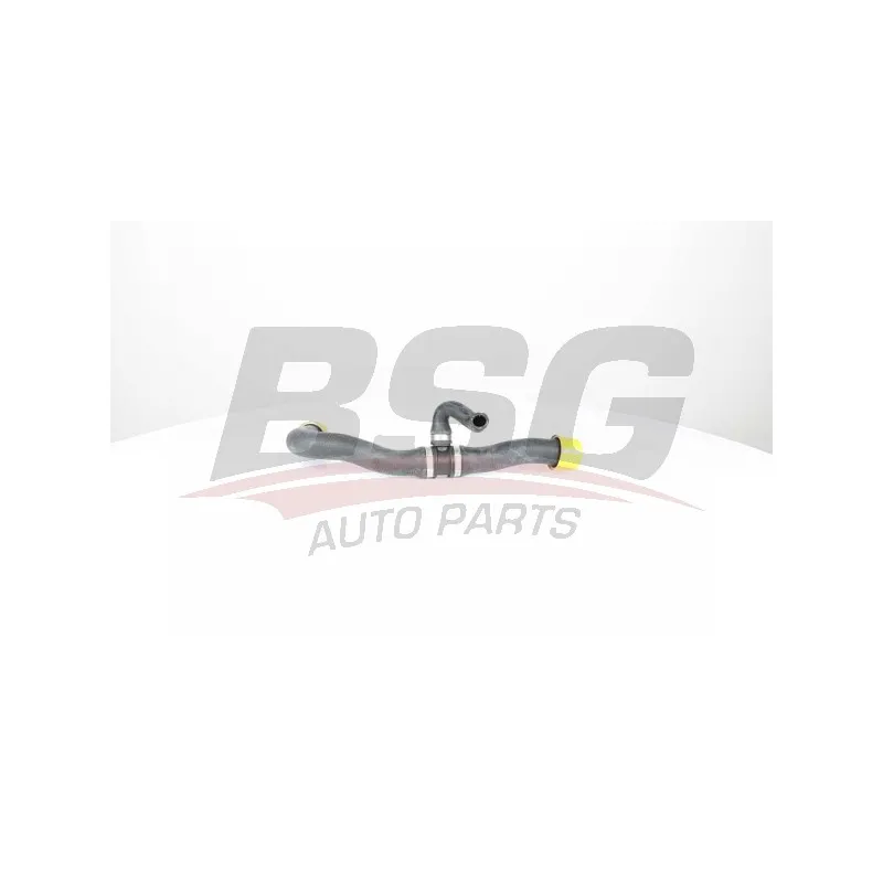 Durite de radiateur BSG BSG 60-720-228