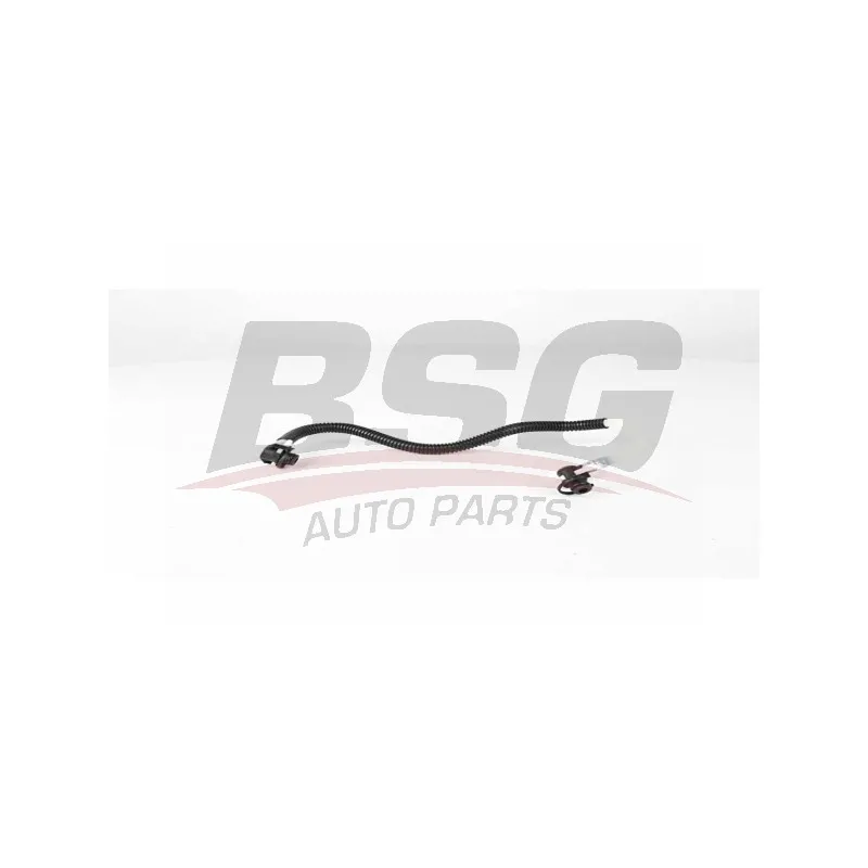 Tuyauterie de carburant BSG BSG 60-725-002