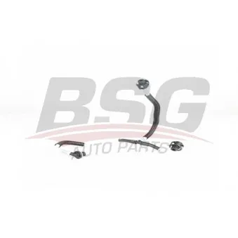 Tuyauterie de carburant BSG BSG 60-725-003