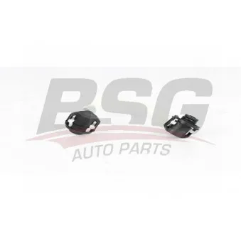 Tuyauterie de carburant BSG BSG 60-725-007