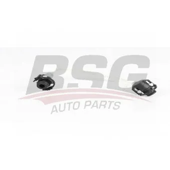 Tuyauterie de carburant BSG BSG 60-725-008
