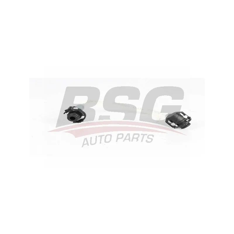 Tuyauterie de carburant BSG BSG 60-725-008
