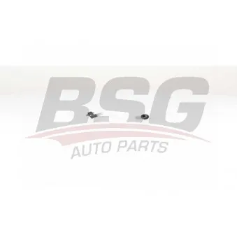 Tuyauterie de carburant BSG BSG 60-725-009