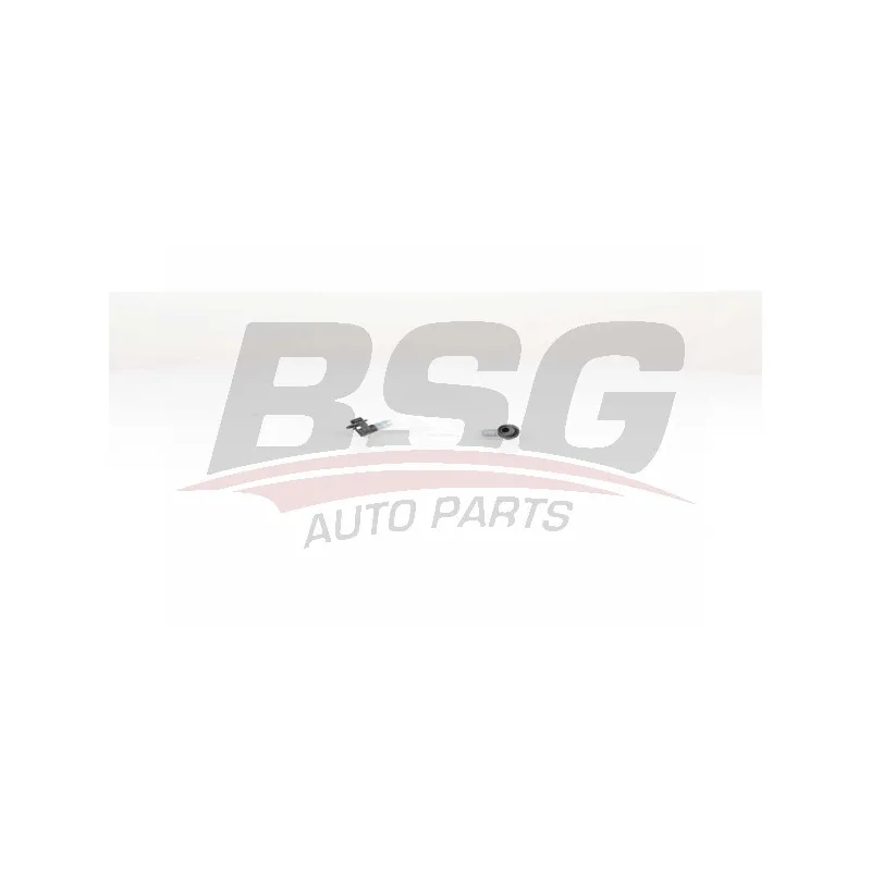 Tuyauterie de carburant BSG BSG 60-725-009