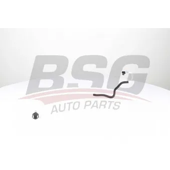Tuyauterie de carburant BSG BSG 60-725-010