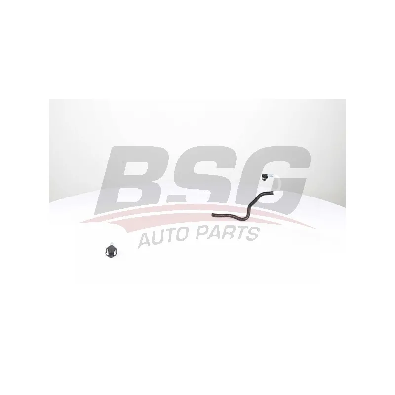 Tuyauterie de carburant BSG BSG 60-725-010