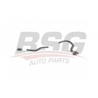 Tuyauterie de carburant BSG BSG 60-725-014