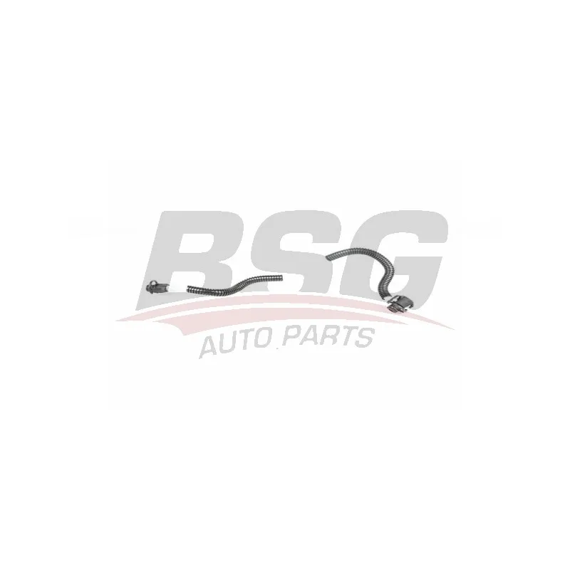 Tuyauterie de carburant BSG BSG 60-725-014