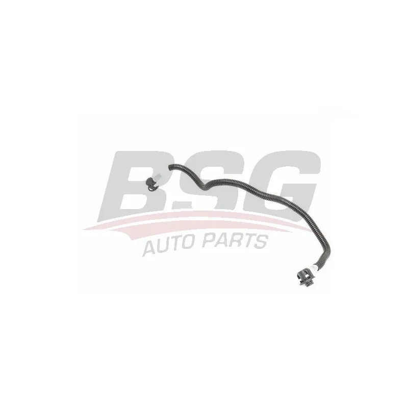 Tuyauterie de carburant BSG BSG 60-725-015