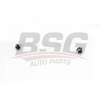 Tuyauterie de carburant BSG BSG 60-725-019