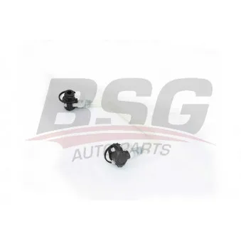 Tuyauterie de carburant BSG BSG 60-725-020