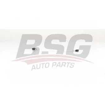 Tuyauterie de carburant BSG BSG 60-725-021